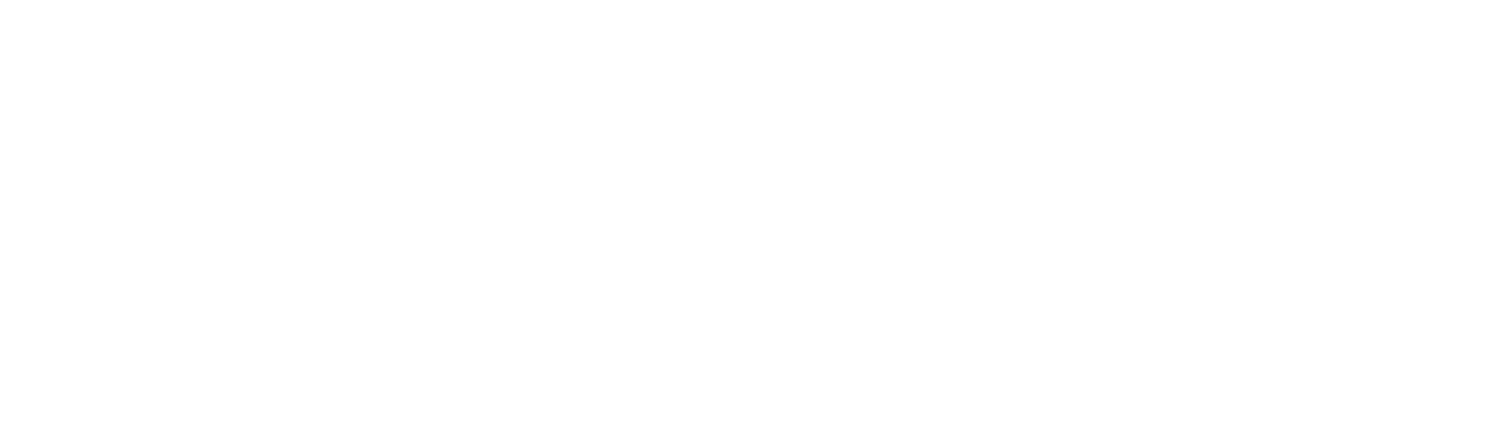 Logo Blanco FDG logistics